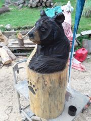 Bucket bear 2