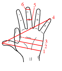 250px-Hand_Units_of_Measurement.PNG