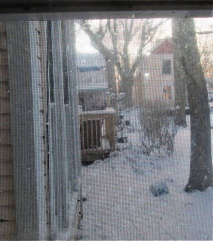84234309_Snowday.JPG.7acb4109c895452adae542f3016a6d4c.JPG