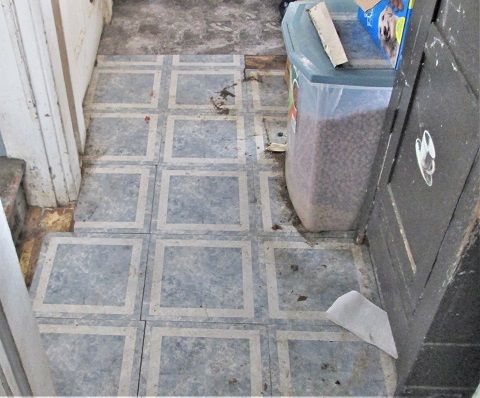816574475_Kitchenfloorprojectstilltogo.JPG.018e482a01a6475c99b6670ed915248e.JPG