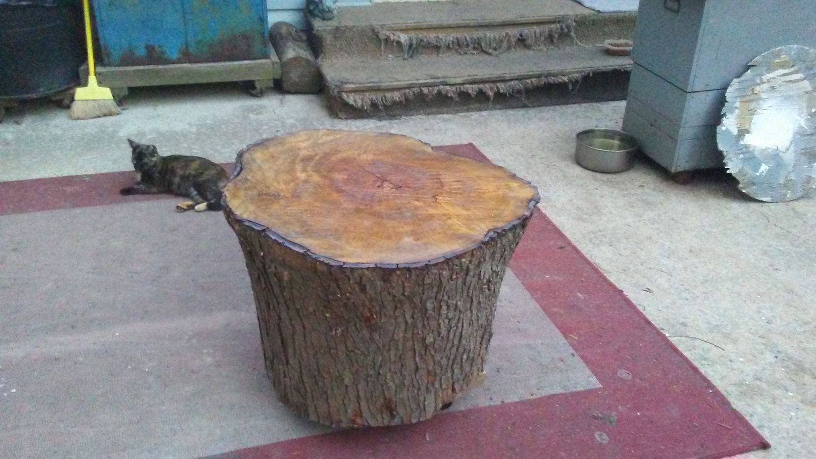 Stumpy.jpg.b03c81793ff37f87191fc7e96914bd07.jpg