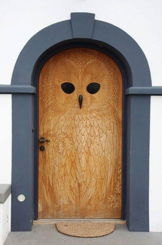 Owl door