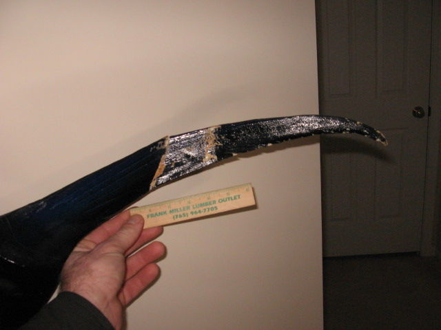 15901539_sailfishtailfin2.JPG.7f26e259484f79272d6e65a47d8ddec2.JPG