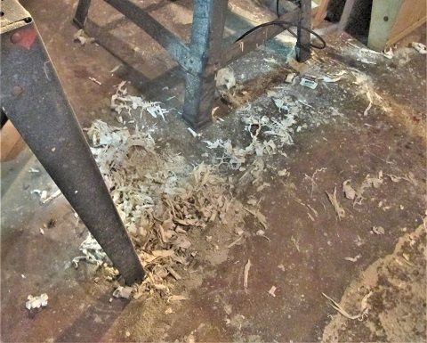 1907859950_SawTilDoorcleanupAisle2.JPG.519efebf048ffacd9c0c44964763a7ce.JPG