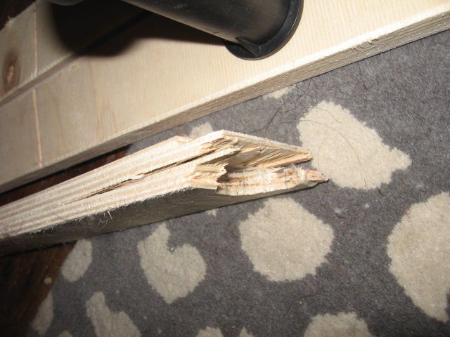 IMG_1315.JPG.99c568ccf9df61fc10716abd03d0cecc.JPG