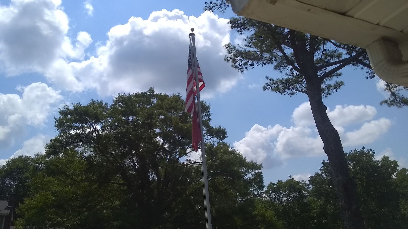 15921504942526620123722231489498.jpg.747b155d5c69156cb9c25eb502dae573.jpg