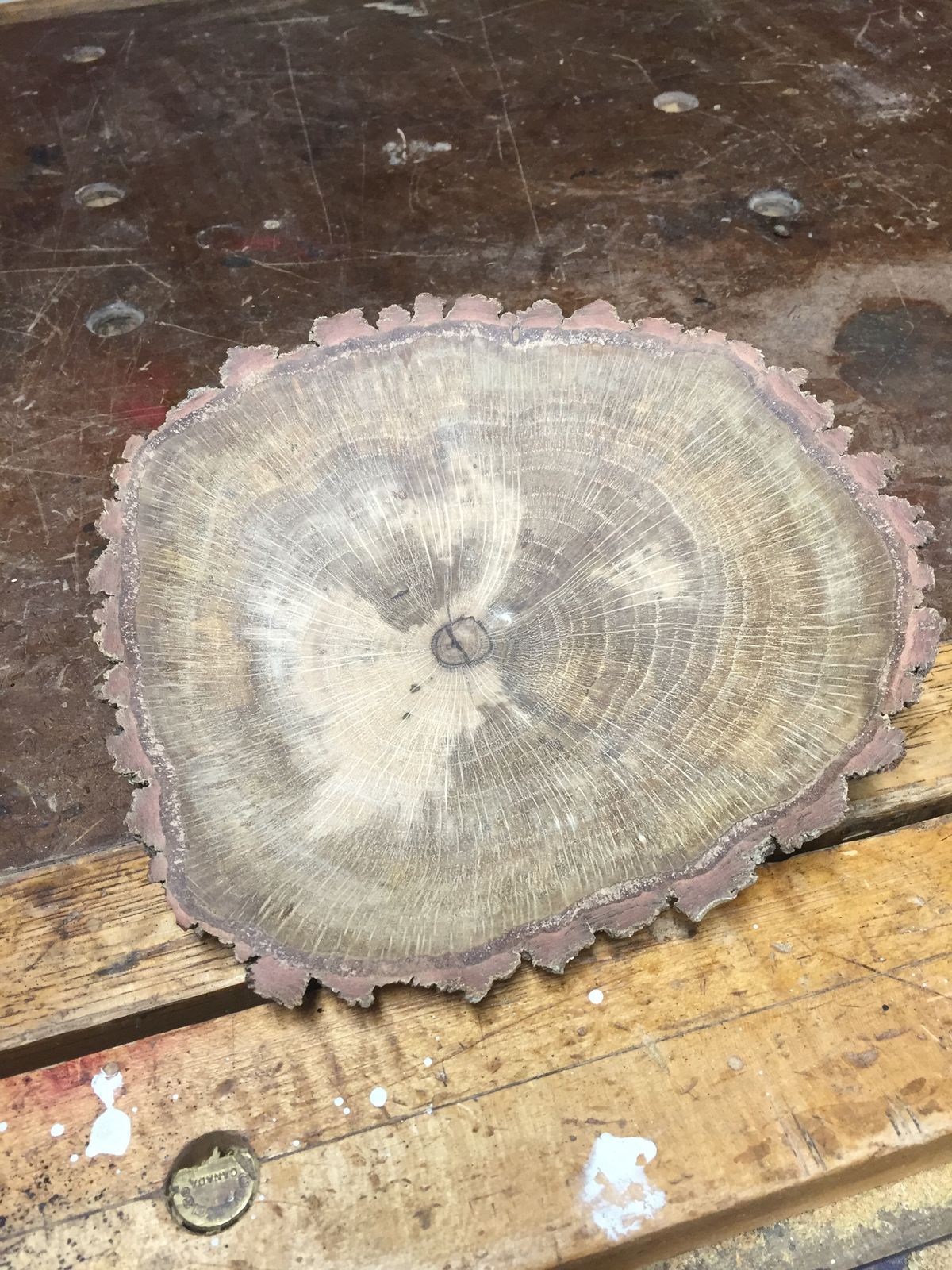 Wednesday's Wisdom For Woodturners June 17,2020
