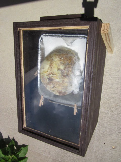 2020_07130002.JPG.3c2ff4c22d2395abcef394069af59cc3.JPG