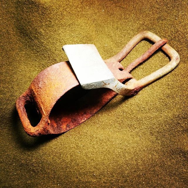 Buckle.jpg.113fc6afbe0f730f513d060bc80bd571.jpg