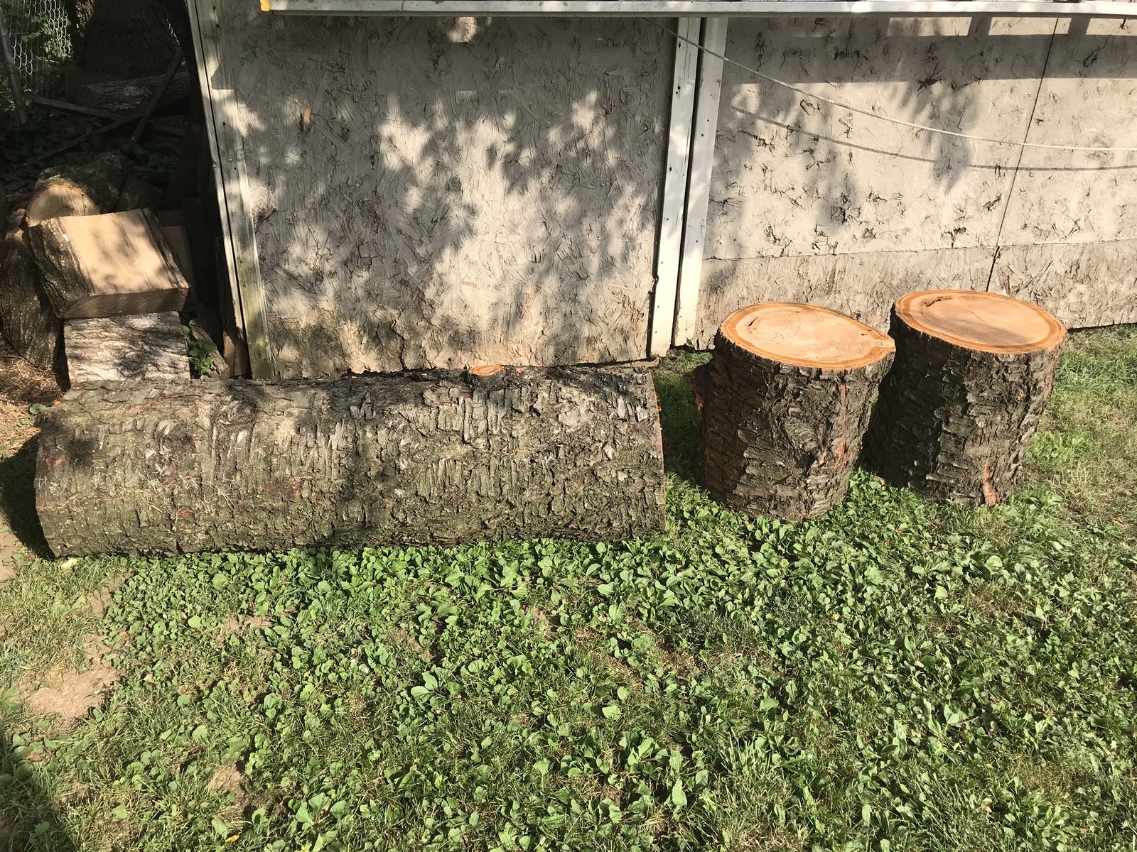 IMG_0816.jpeg.5f77143ccb0f6c2883add5b687d2fa40.jpeg
