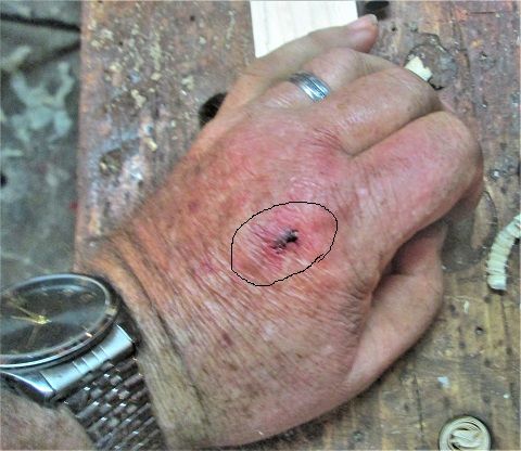1050621891_ShopImprovementsknickedknuckle.JPG.7d1ce2c4ded1fd58b2c9ea6a4531e5ed.JPG