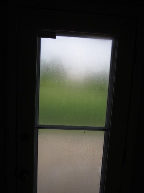 2020_08280003.JPG.a49a4286003d3531cffd2b9a1860b811.JPG