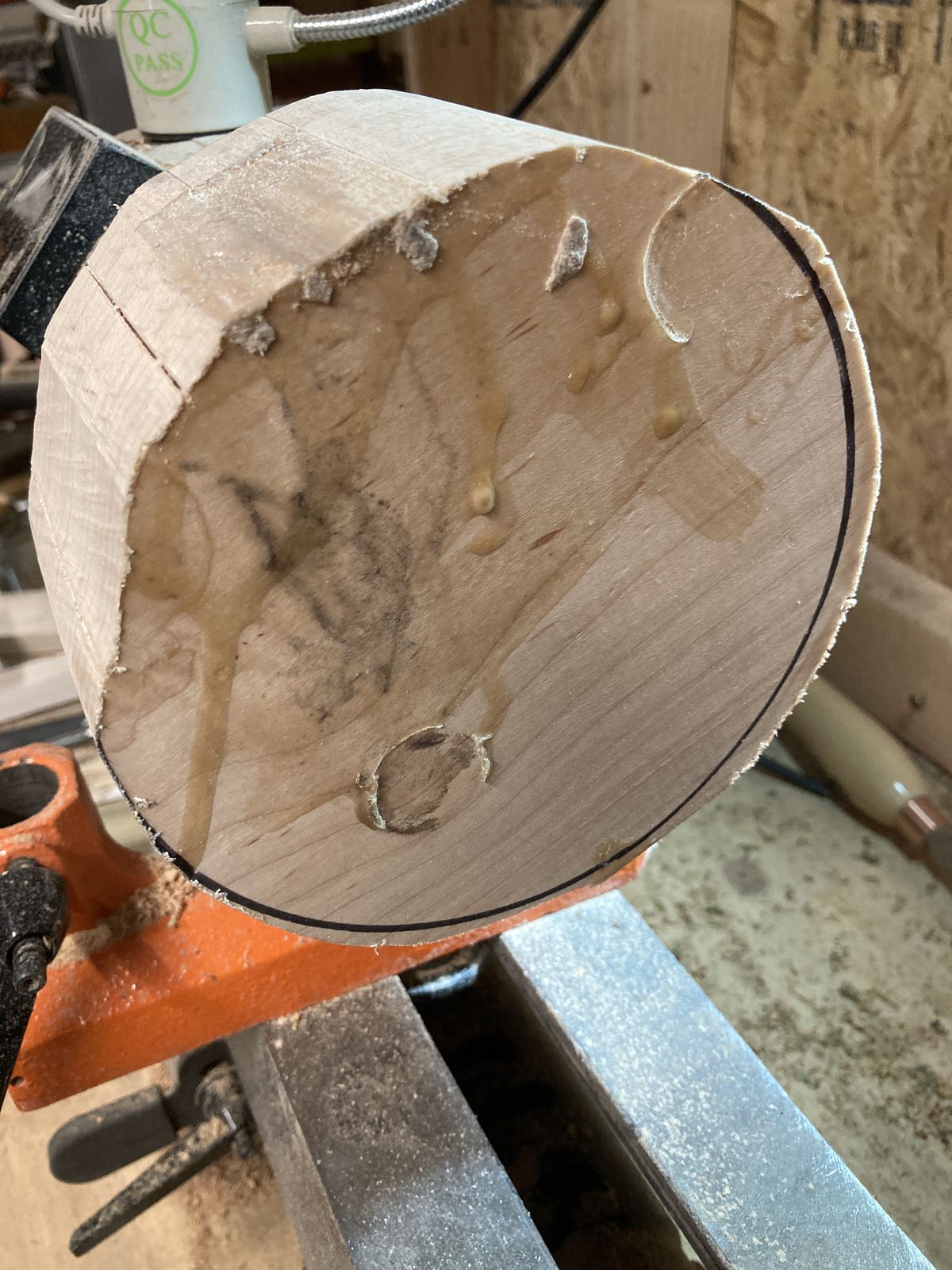 A bit of Birch Wood