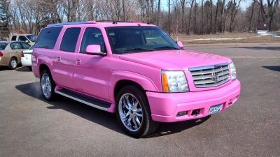 803847487_pinkcaddy.jpg.5eb36793bee29cd872ec1b250d88a348.jpg
