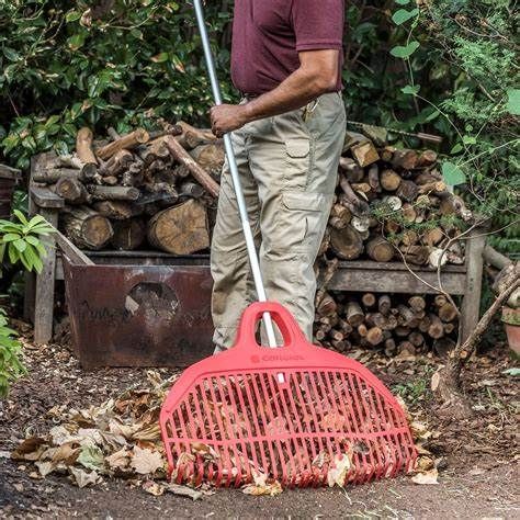 rake.jpg.b80e8d61201ee82fbe8d87862d80ad71.jpg