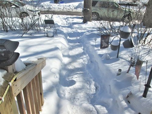 1056042909_WinterWonderlandfrontsidewalk.JPG.35c820d8733b3ca74342c91c917493fd.JPG