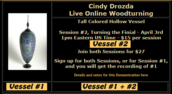 1520760083_2021-03-3119_28_02-CindyDrozda-TheFineArtofWoodturning-ArtworkInstructionandDVDs.png.526fdfefa0e7364bc6fb4538152af3c5.png