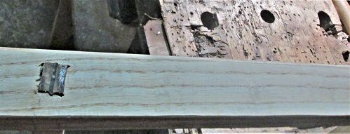 146791390_TowelLadderonewedgeor.JPG.22f8f126ada269f5af307e7632fc47e2.JPG