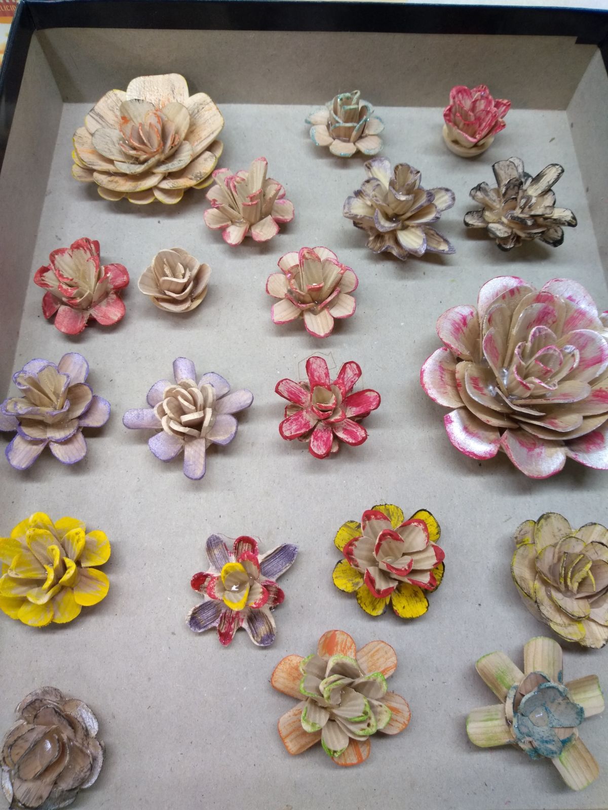2114310391_IMG_20210424_180657766flowersareaboutreadyformynextproject..jpg.2902249078ddc7894c277076cc4a6edc.jpg