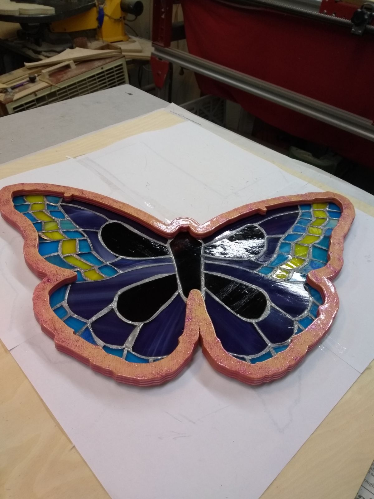 536877665_IMG_20210628_180737677butterflytwodifferentcolorsoneachsidetwo.jpg.cca9660579ca17a3118530bb541b8f45.jpg