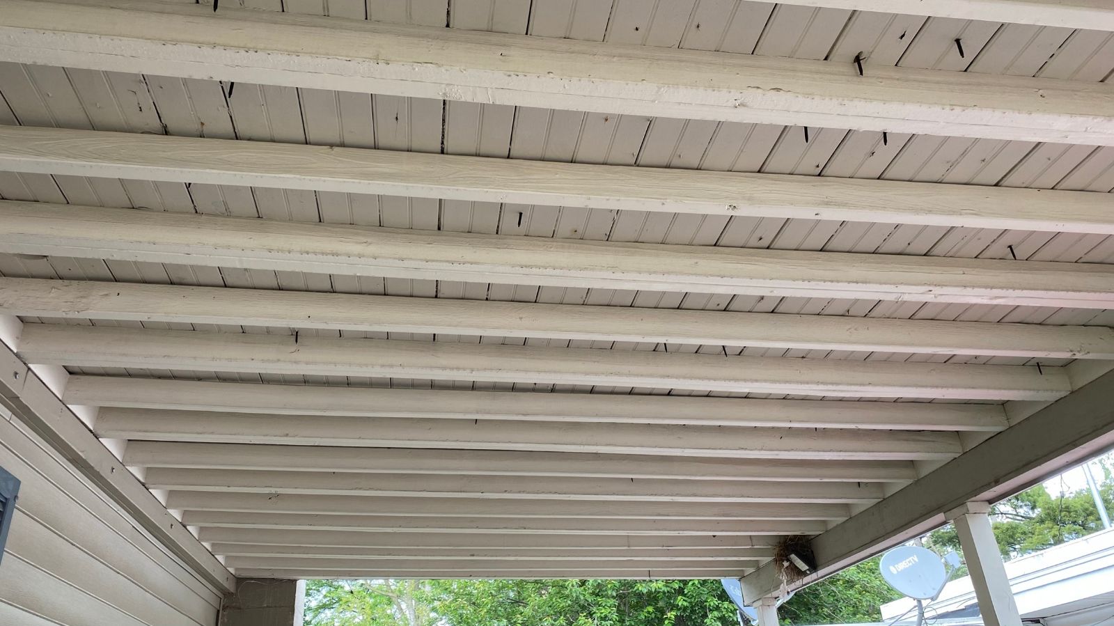 IMG_1143.jpeg.d67a4e1f25db4b48d4c9785130d2ab57.jpeg