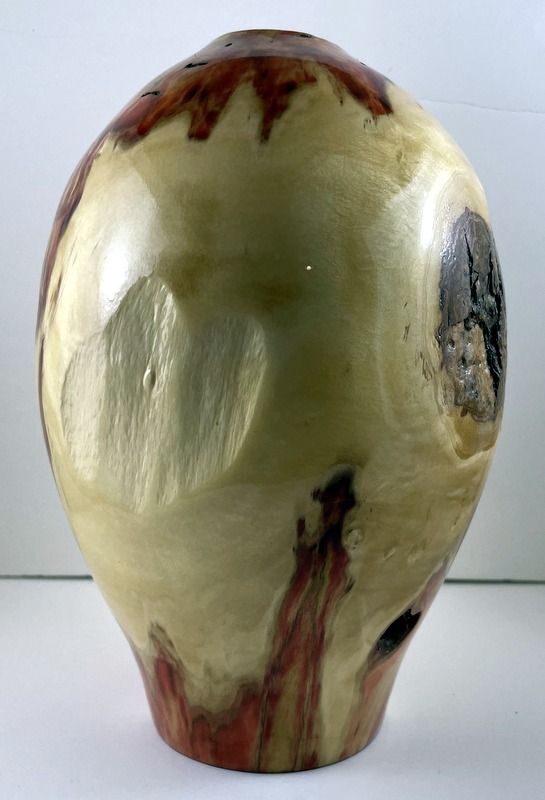 boxelder3.jpg.c42ea6fc8303052f94f50a0bae4a4a10.jpg