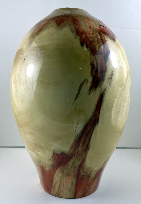 boxelder4.jpg.6397d90e99951a704577531599a174dd.jpg