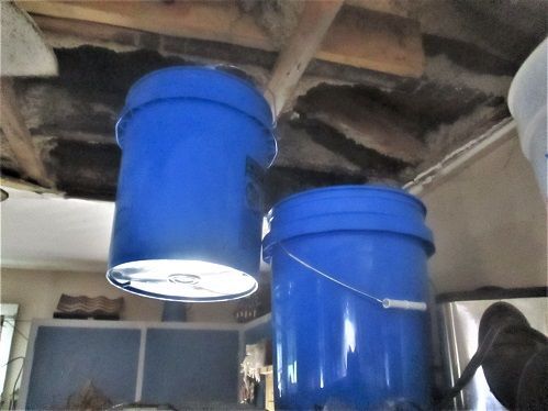892657770_KitchenBucketBrigade.JPG.18b616097cae7853ba2ba208c485f2c5.JPG