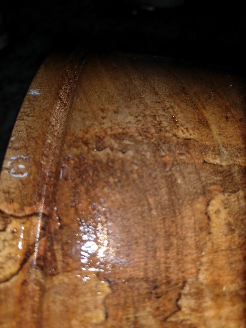 bowl1-2.jpeg.bf3c55a4b9dc7944e53bf00d88bce6eb.jpeg
