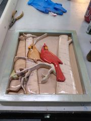 this is the red birds after I sprayed a few coats of clear before i rubbed themn with 0000 steel wool.woo