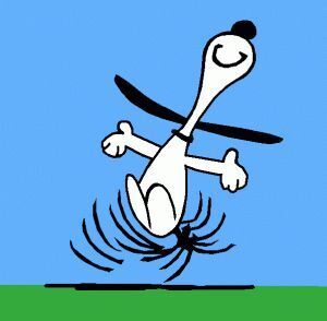 snoopydance.jpg.b3161baef550342f430a5e60a94fb922.jpg