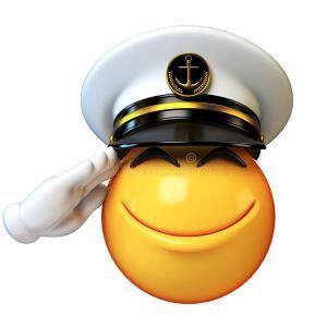 635586266_Salute2.jpg.868fbb2ed6a2fceaf531cce3084c146f.jpg