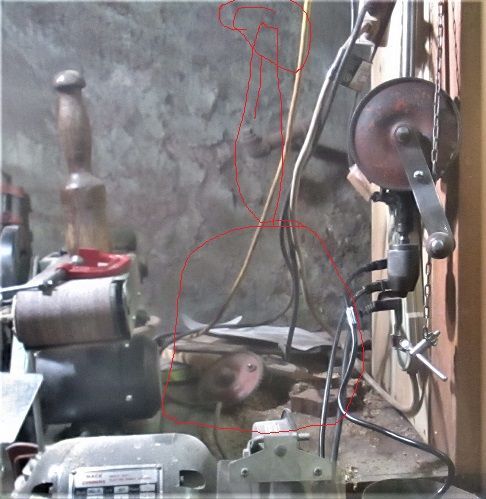 1482641006_DrillPressStandsomethingmissinghere.JPG.dec399e7c72bab253a13e824b049f43d.JPG