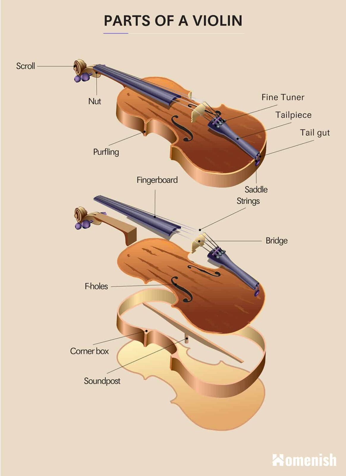 Parts-of-a-Violin.jpg.aa0362b688ad7c65d4a346ba3234e131.jpg
