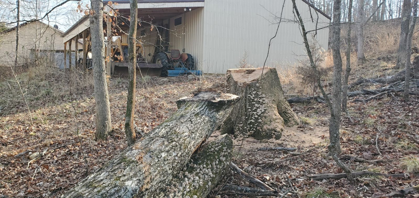 twin-oak-02.jpg.866278bbbf676d8c44c52d87049c5fa7.jpg