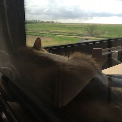 1039945394_roadtripwithcatcheyennebottoms.jpg.42abe191c5bb4491f2dd79cceeb38585.jpg