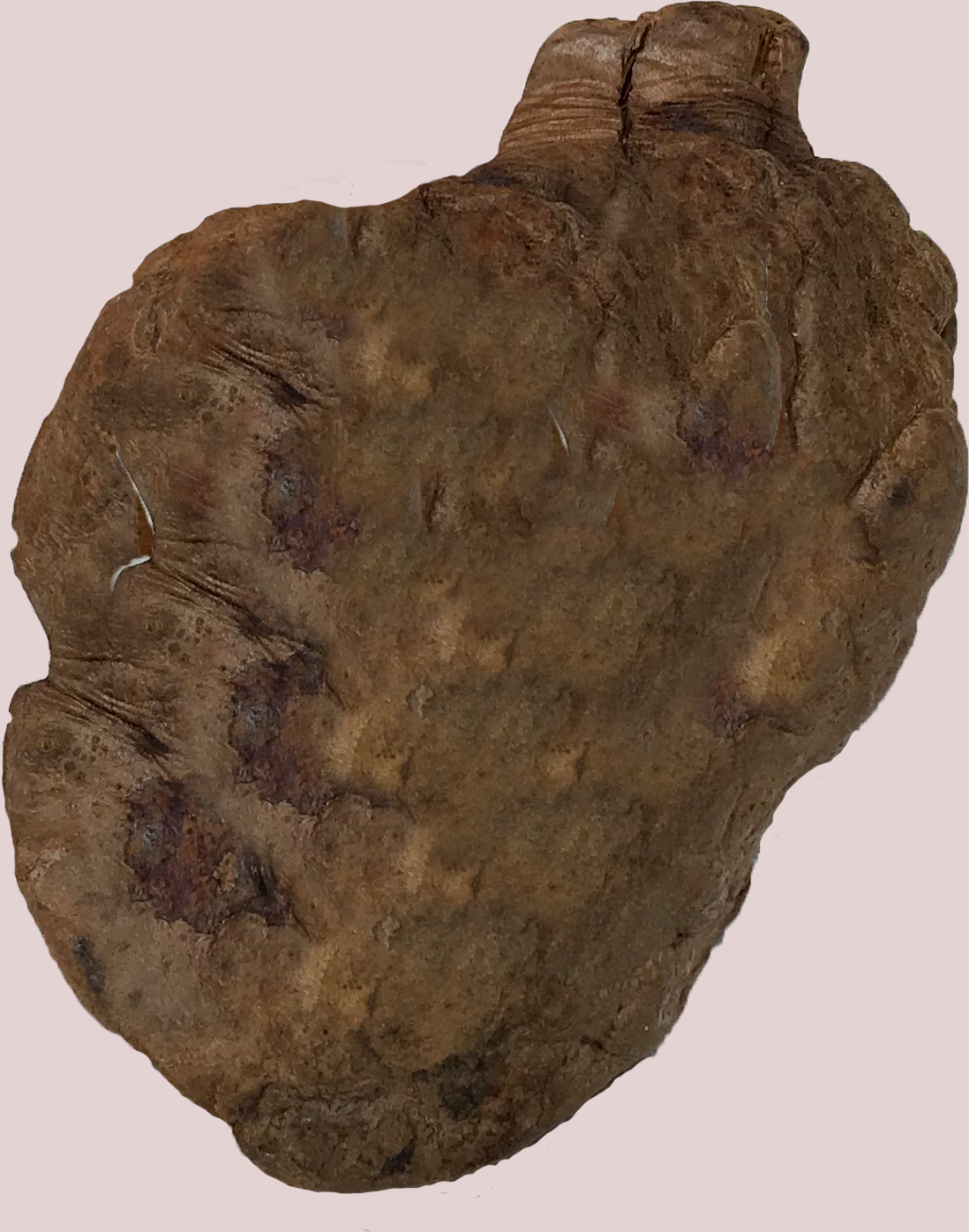 1049267977_heartfinal.png.9b39cab5dd93d7f76f67b52416d30e5c.png