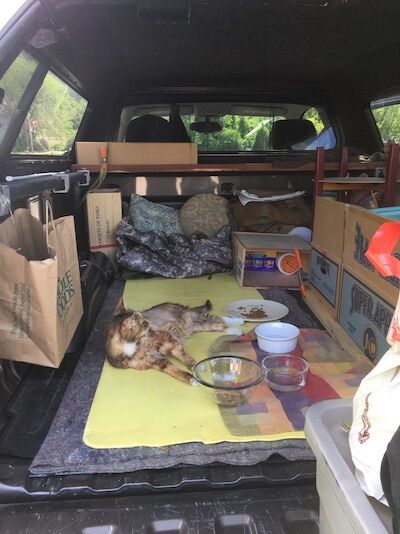 129357135_roadtripwithcat.jpg.2f251a3cb182ec26ac85d3bfc358bbb1.jpg