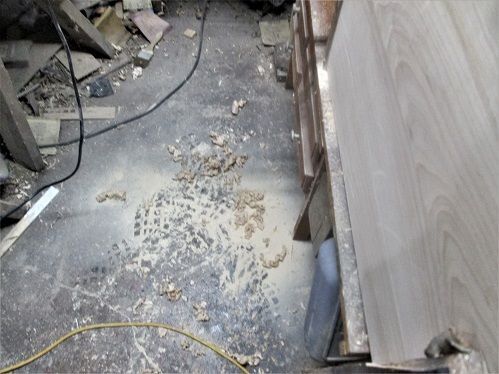 149916392_LaundryDetailshavings.JPG.2b653110bfb1db6f7817164dccbfe73a.JPG