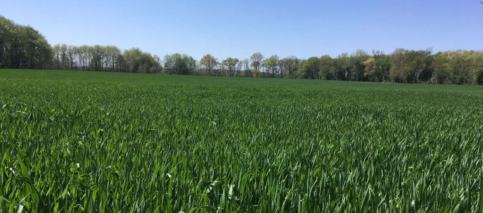 Sussex County, Delaware.JPG