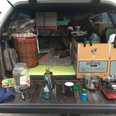 2109704149_roadtripwithcatkansas.jpg.0e6019211873e91c51da3cf69c186f48.jpg