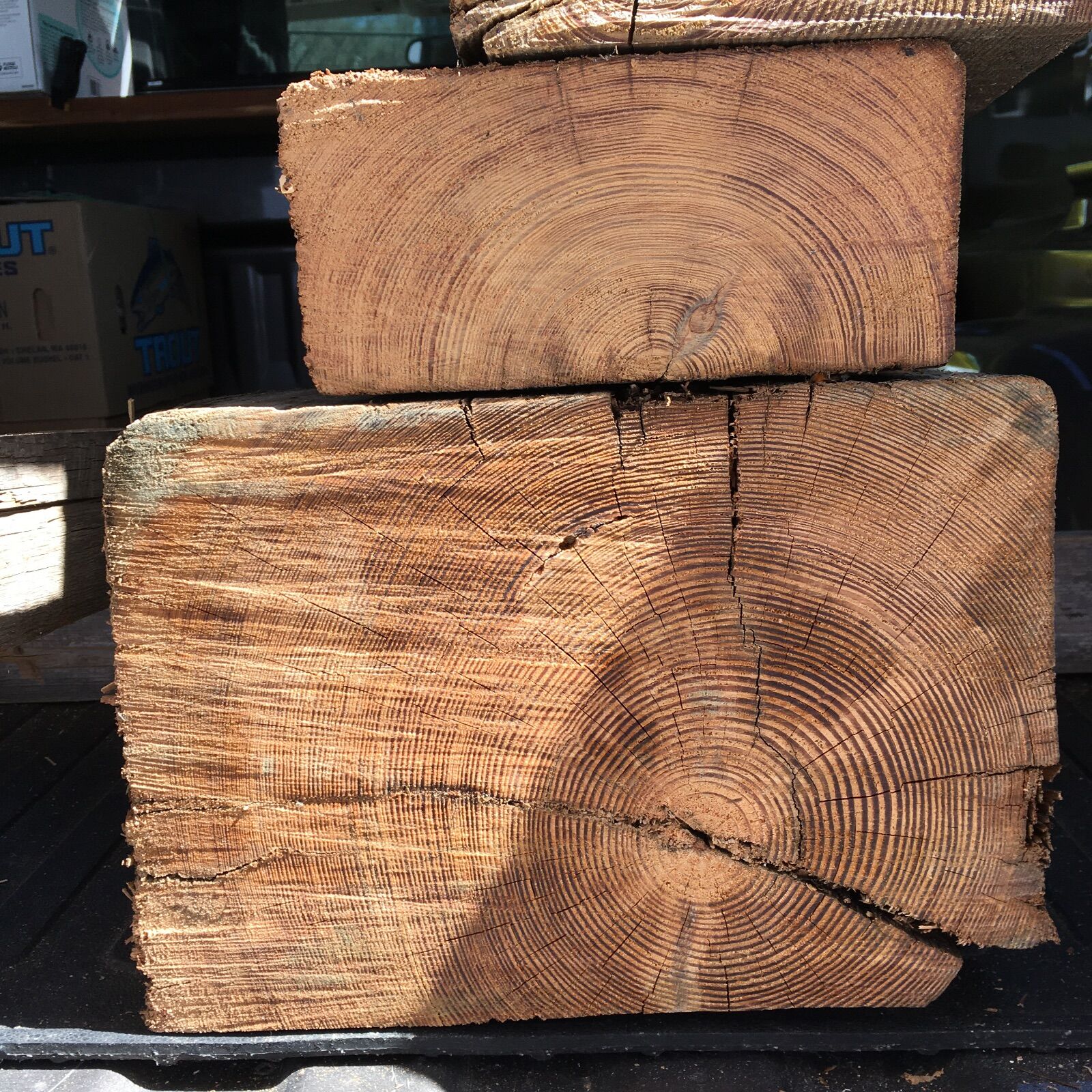 552302046_ManayunkTimber20220413B.JPG.0fa92c187435a1e18b04c98cdec263b3.JPG