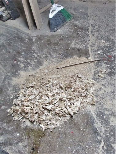 632993525_LegsPart2cleanedthemess.JPG.334d6452a3997efb82d959e2d2a9f311.JPG