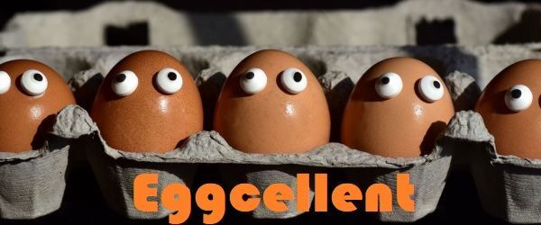 f06138da5e52779a2e10_banner.jpg.9acc793be8c96ca887ef92abcc3d6fce.jpg