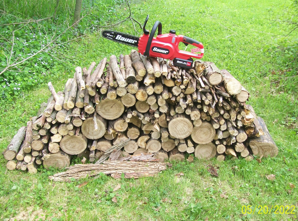 1335187637_SingleChargeWoodPile.PNG.eca6c42265790225b5ddbccee28dd8ca.PNG