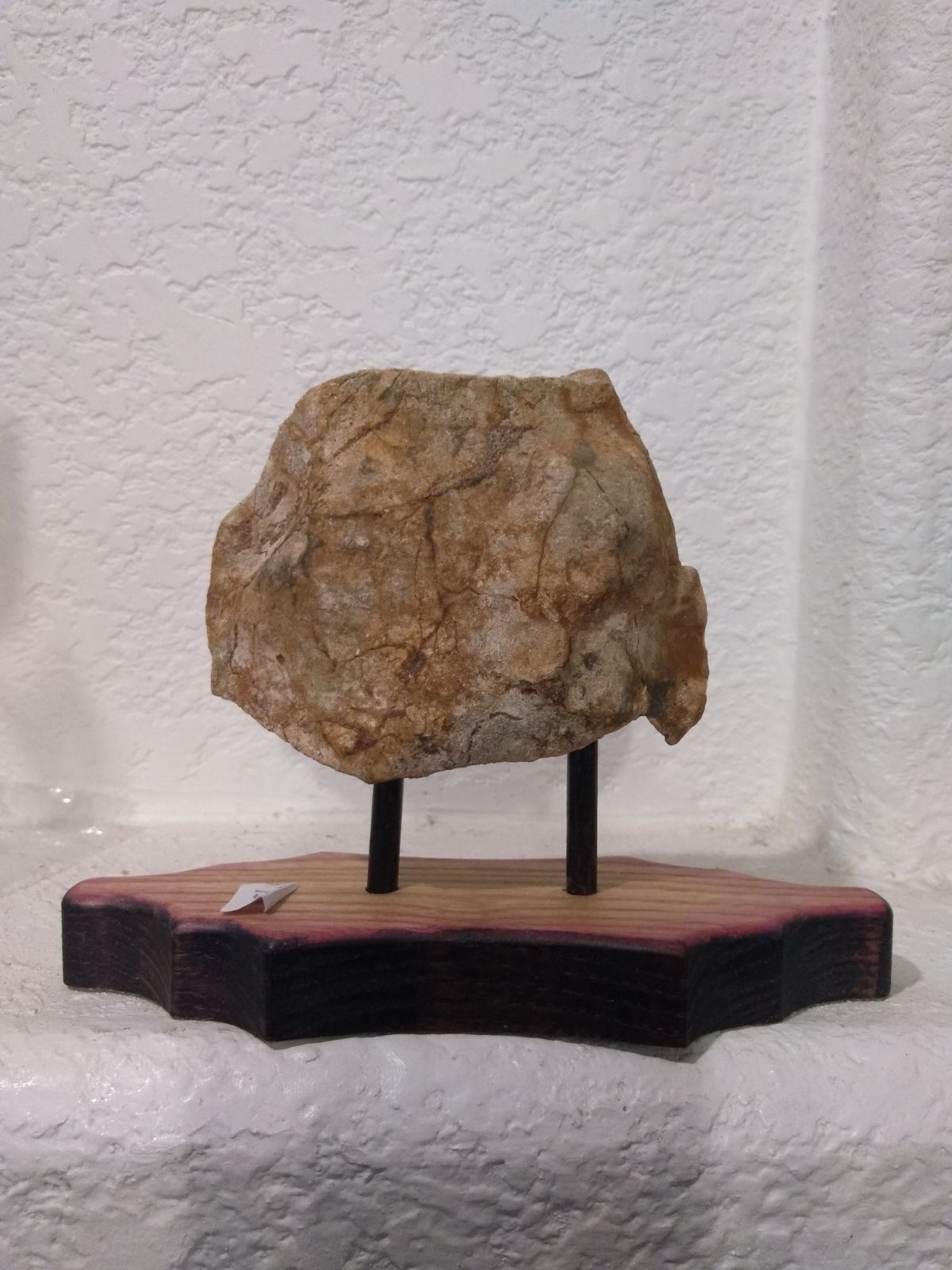 351505503_IMG_20220614_201737728Firstrockfoundonearth..jpg.cb97f04e0566a549570fec7138e8361f.jpg