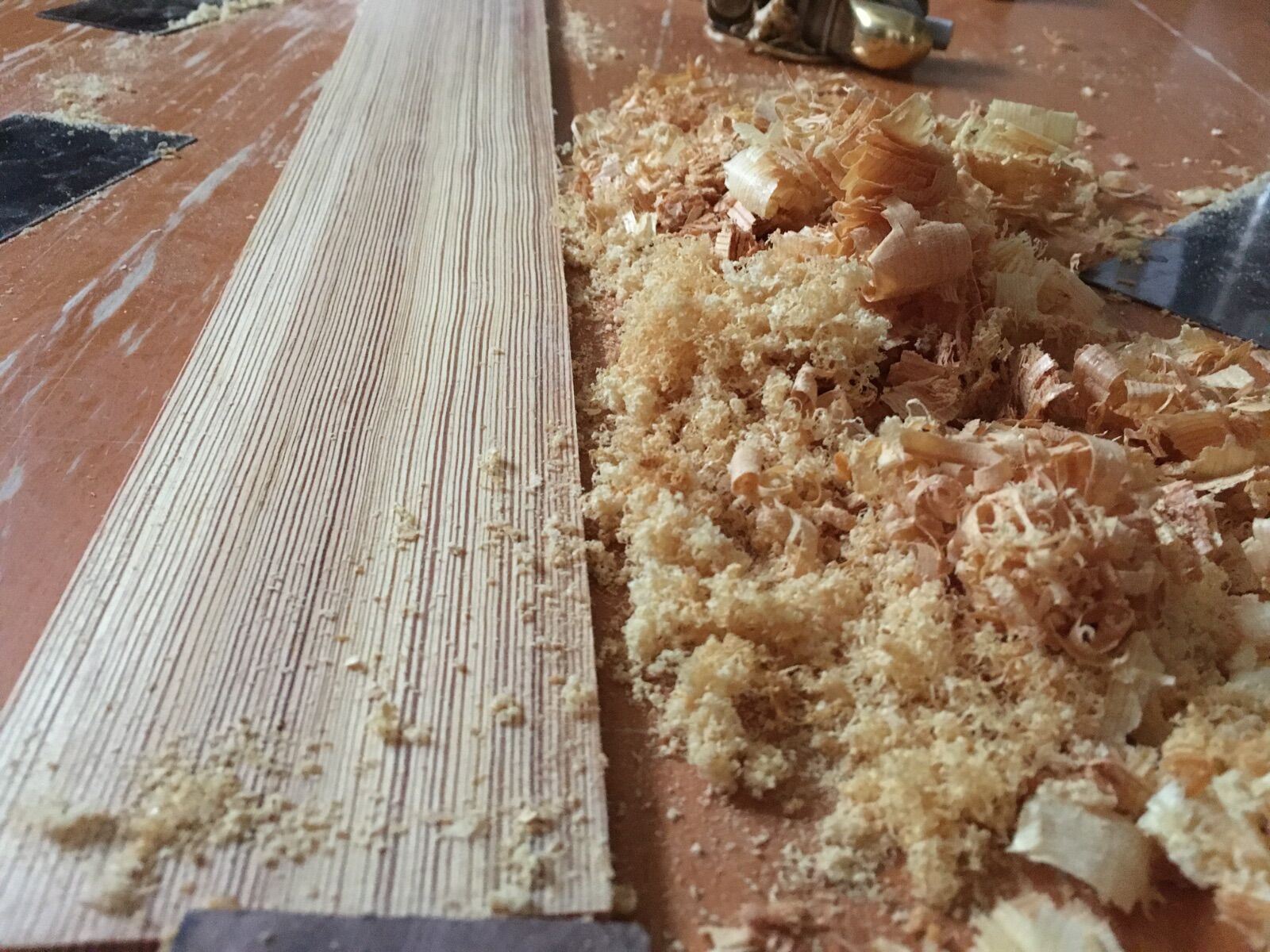 1105437663_pileofshavingsandscrapings.JPG.710655c847baf6fd6052a3a4be57925d.JPG