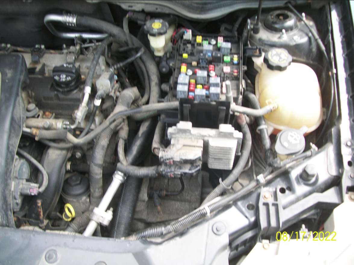 336504668_Cobaltbacktogether.PNG.a3124a83030bbf0dde6dca4ce7551e1b.PNG