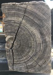 Mid-1800s heartpine post split and resawn 2.JPG
