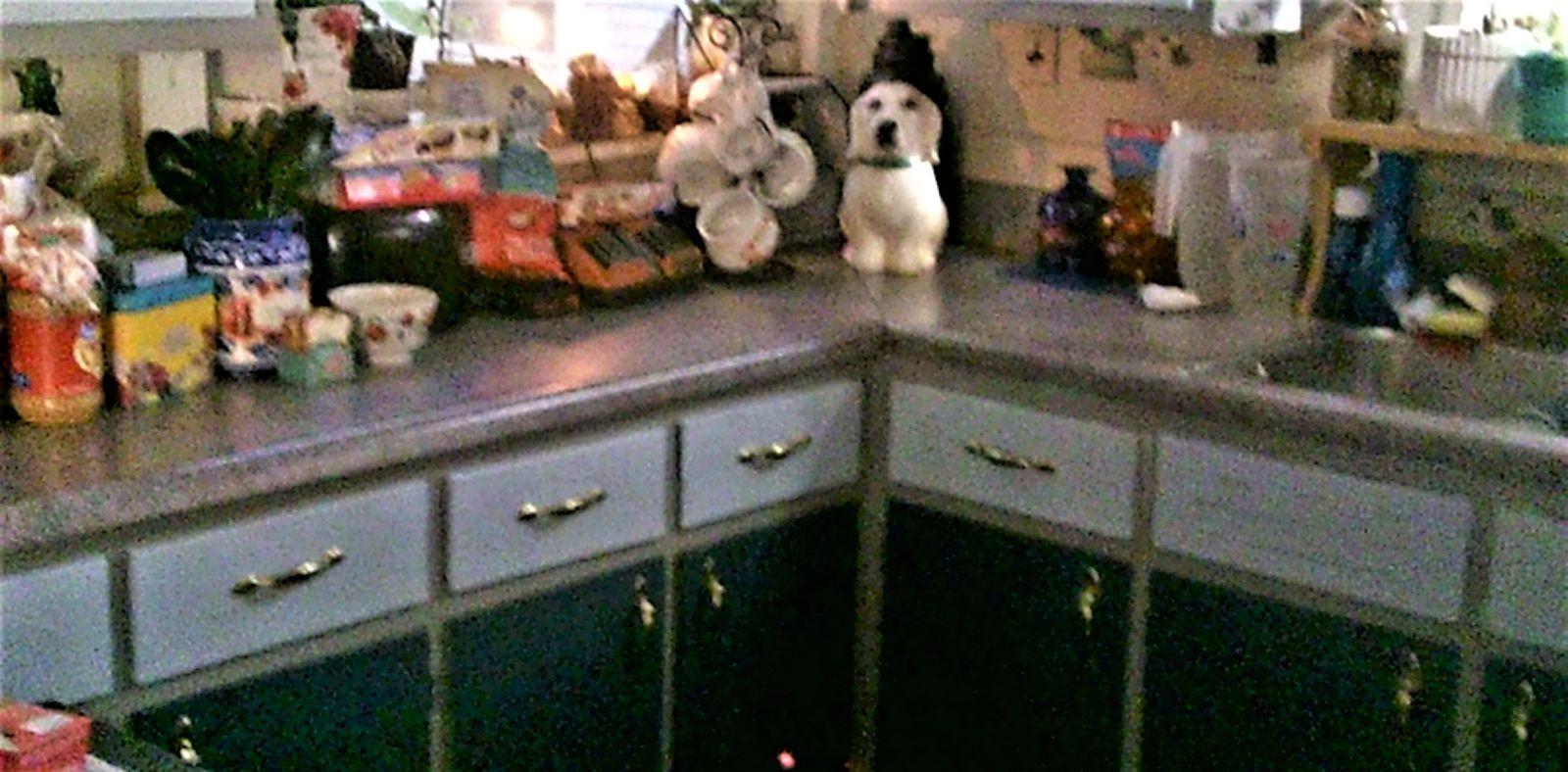 1172161704_KitchenProjectdrawerfronts.JPG.734368b2c6603023be562bdd9a416464.JPG